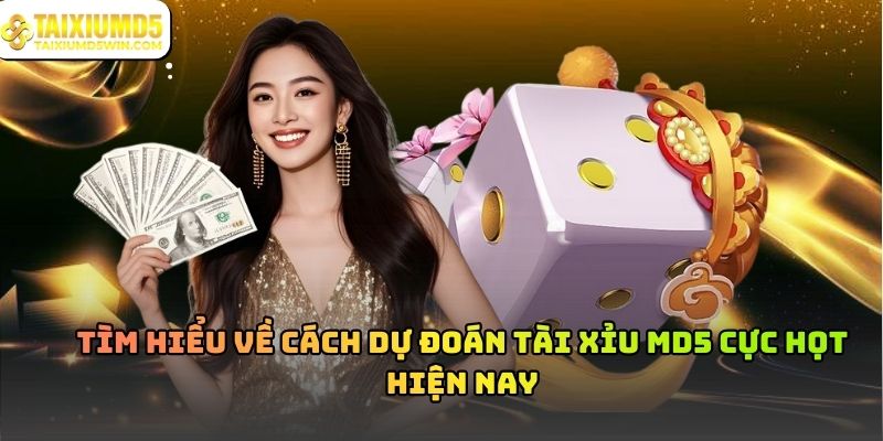 Dự Đoán Tài Xỉu MD5 Và Cách Hiểu Đúng Bản Chất Cơ Chế